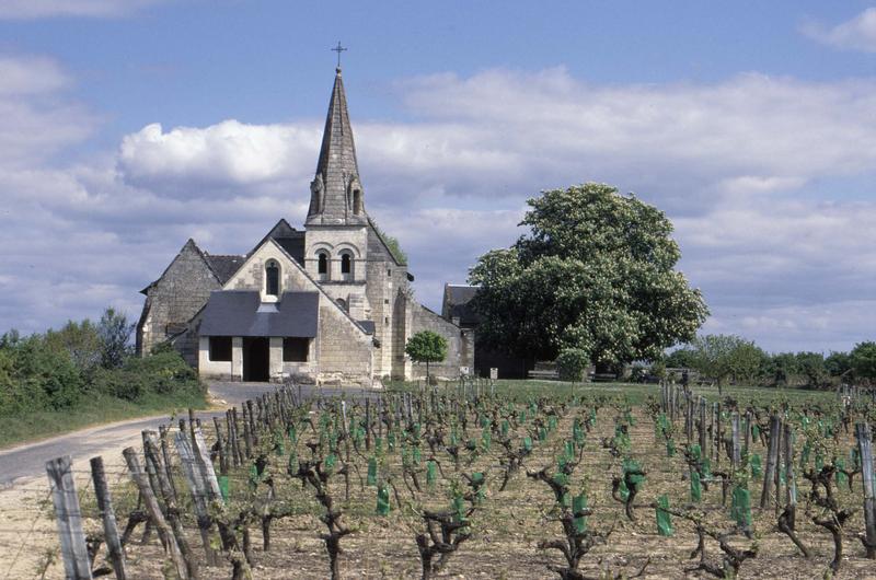 Façade ouest et clocher, vignes au premier plan