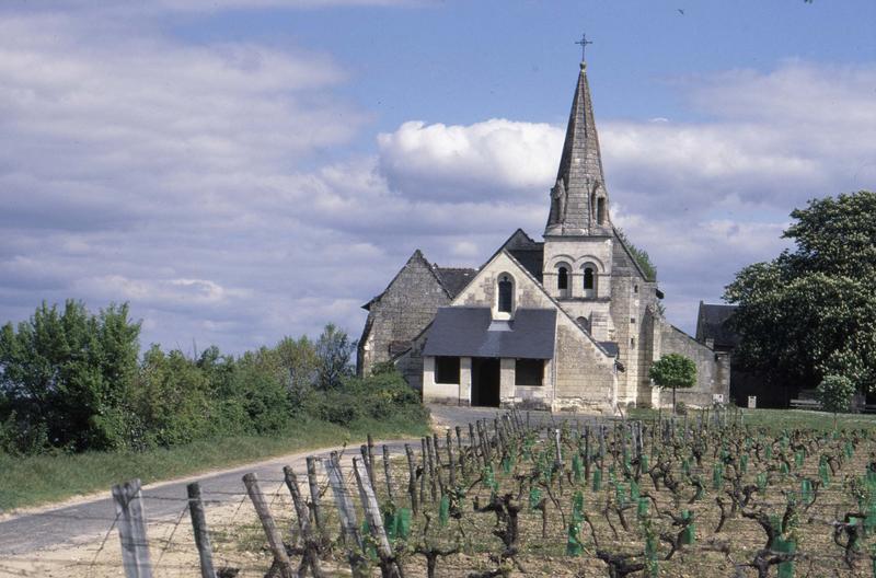 Façade ouest et clocher, vignes au premier plan