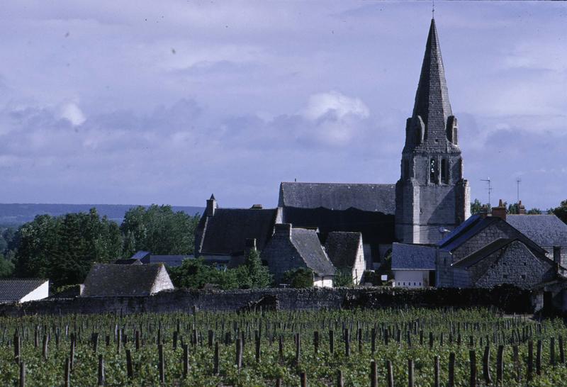 Ensemble sud et clocher, vignes au premier plan