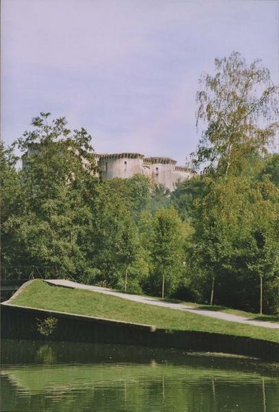 vue partielle du château dans son environnement