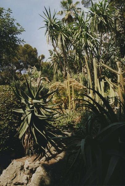 jardins, vue partielle