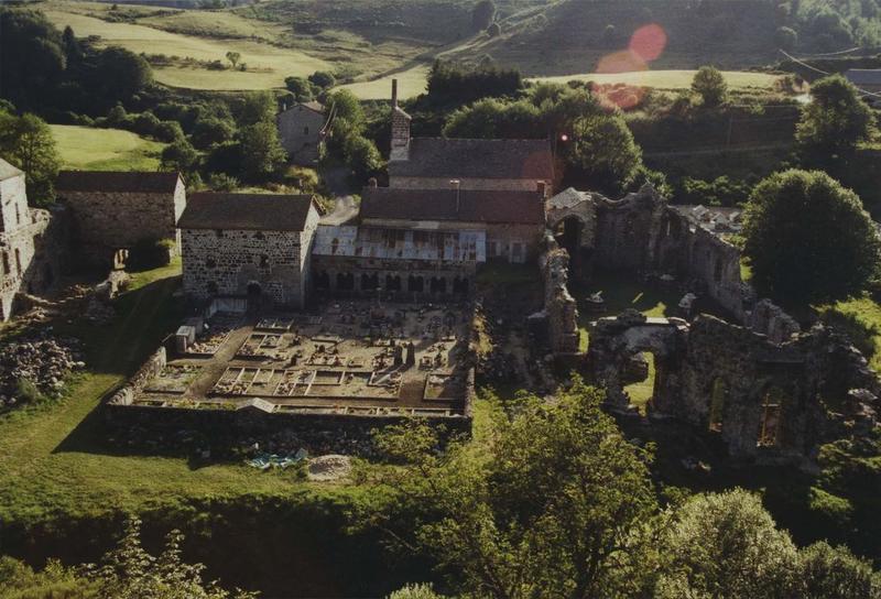 vue générale des ruines de l'abbaye