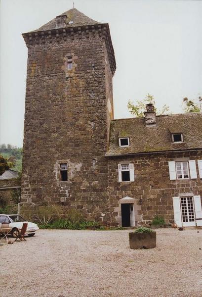 donjon, façade sud, vue générale