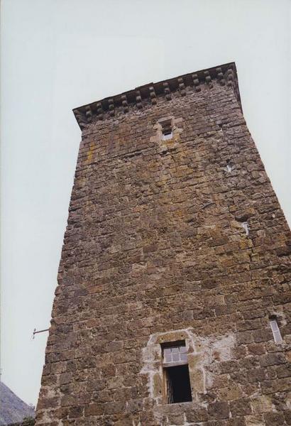 donjon, façade sud, vue partielle