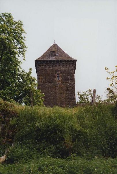 donjon, façade sud, vue partielle