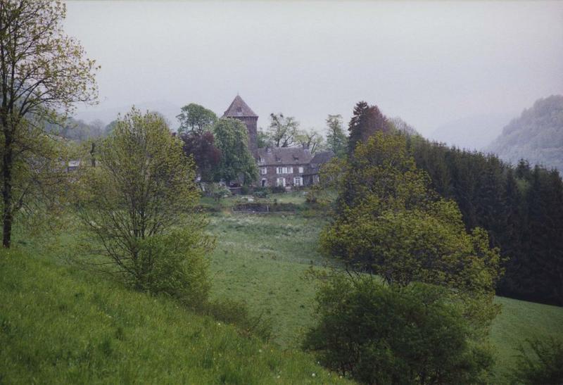 vue générale du château dans son environnement