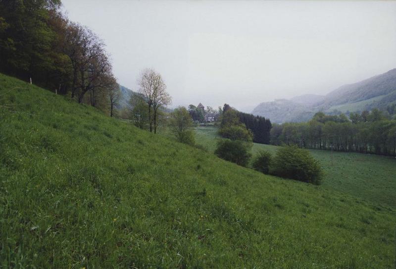 vue générale du château dans son environnement