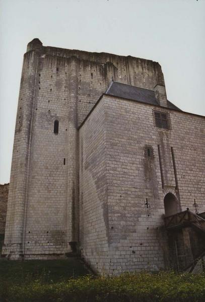 donjon, ensemble nord, vue générale