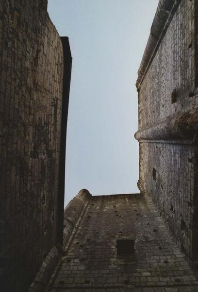 donjon, façades nord et ouest, vue partielle