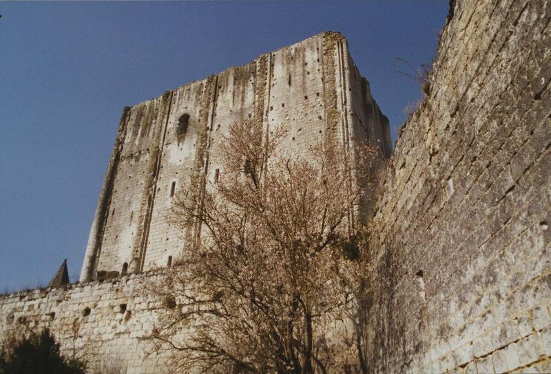 donjon, façade sud, vue générale