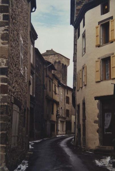 vue partielle du donjon depuis la rue Edouard Chatillon