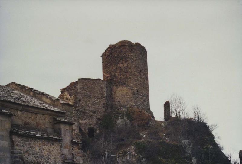 ensemble nord, vue générale du donjon