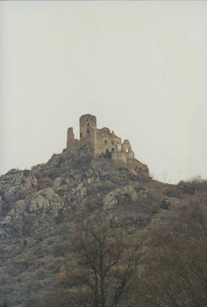 vue générale du château dans son environnement