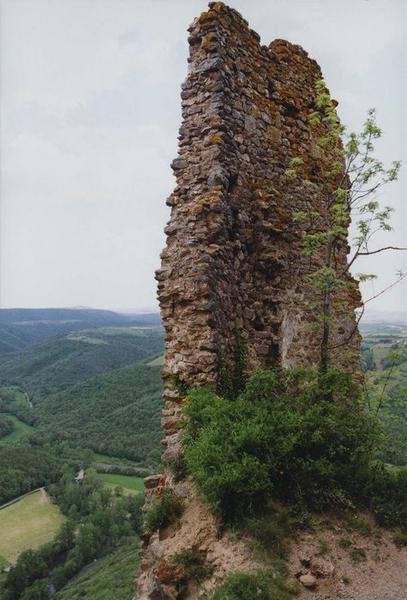 détail, pan de mur ouest dominant la vallée de l'Alagnon