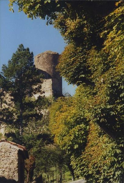 vue partielle du donjon