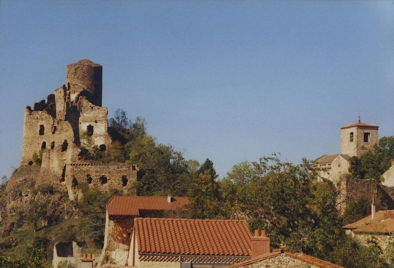 vue générale du château dans son environnement