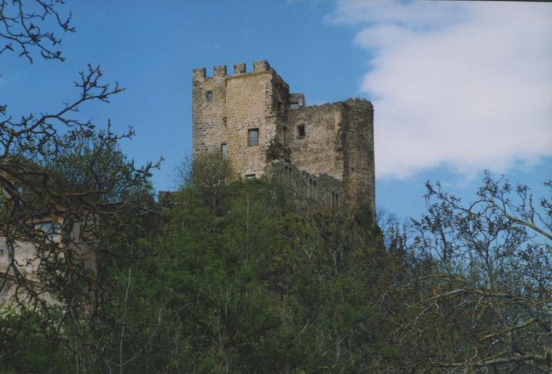 vue générale du donjon dans son environnement