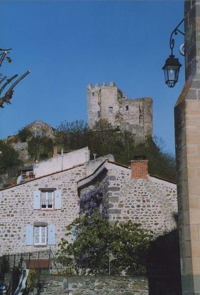 vue générale du donjon dans son environnement