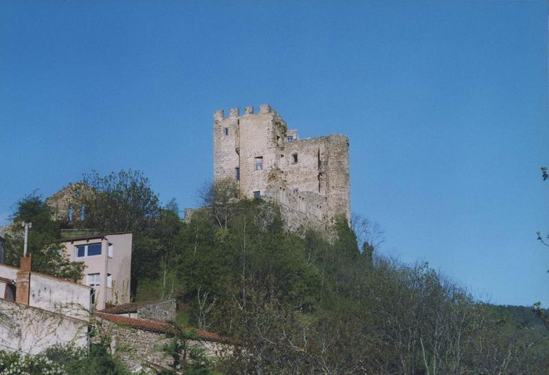 vue générale du donjon dans son environnement