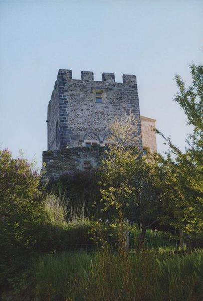 vue générale du donjon