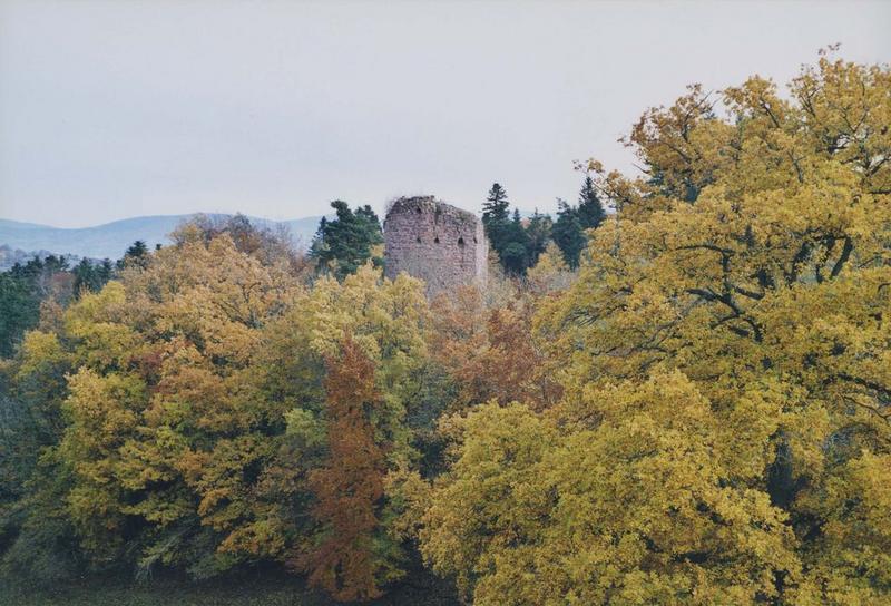 vue générale de la tour dans son environnement