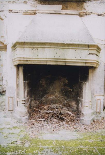 vue générale de la cheminée gothique du rez-de-chaussée