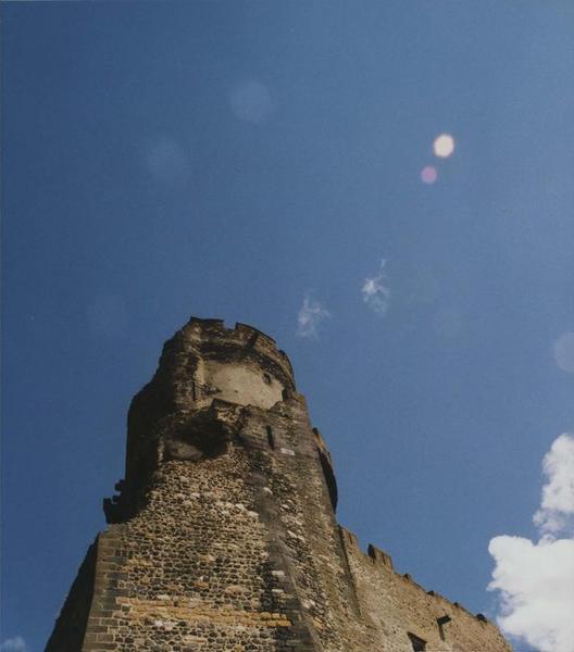 vue générale du donjon