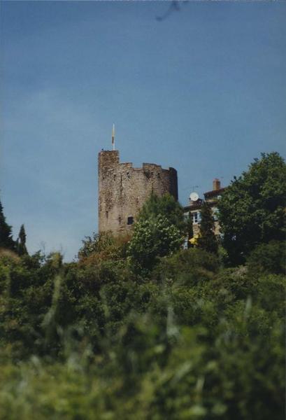 vue générale du donjon dans son environnement