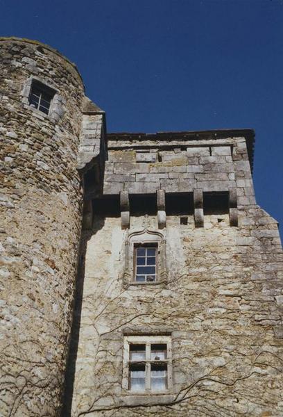 logis, élévation ouest, détail