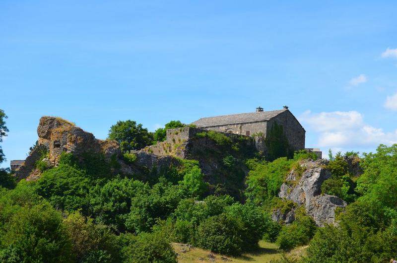 vue partielle du château dans son environnement