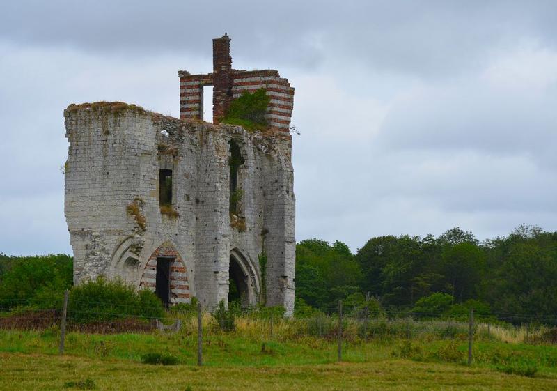 vestiges de l'abbaye, vue générale