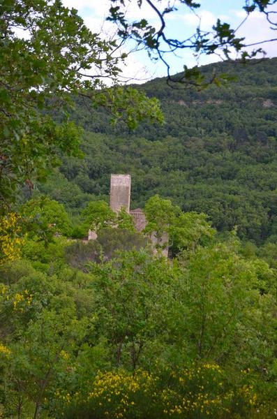 vue générale du château dans son environnement