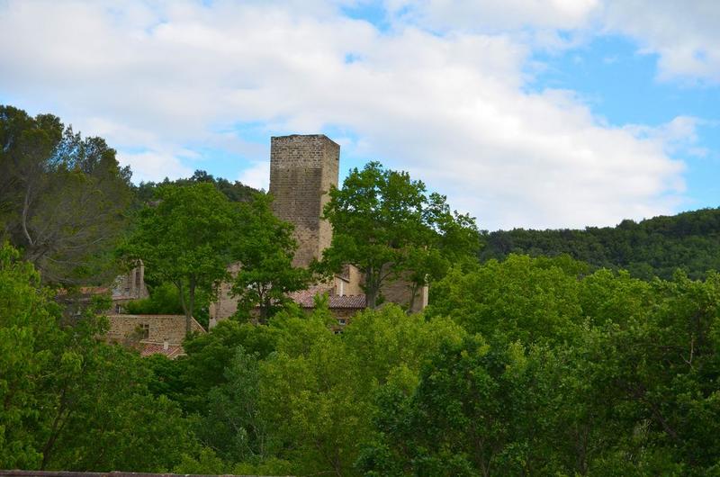 vue générale du château dans son environnement