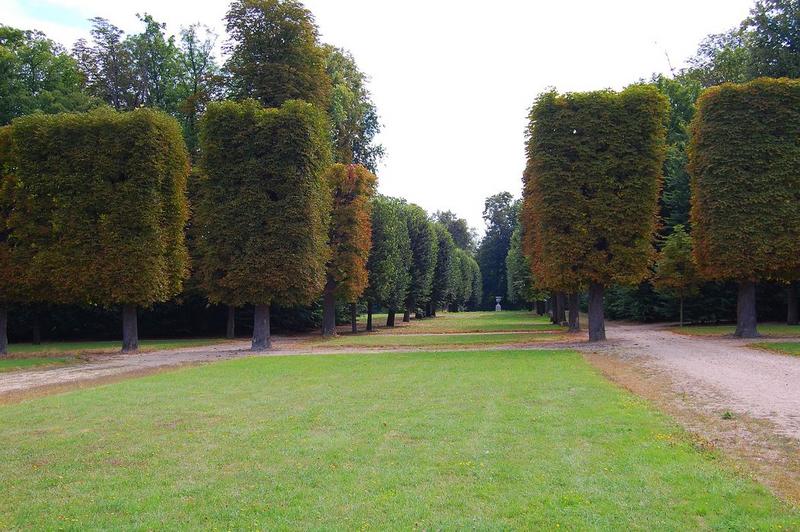 parc, allée transversale ouest, vue générale