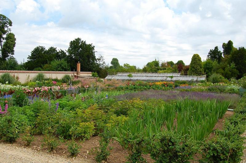 potager, vue générale