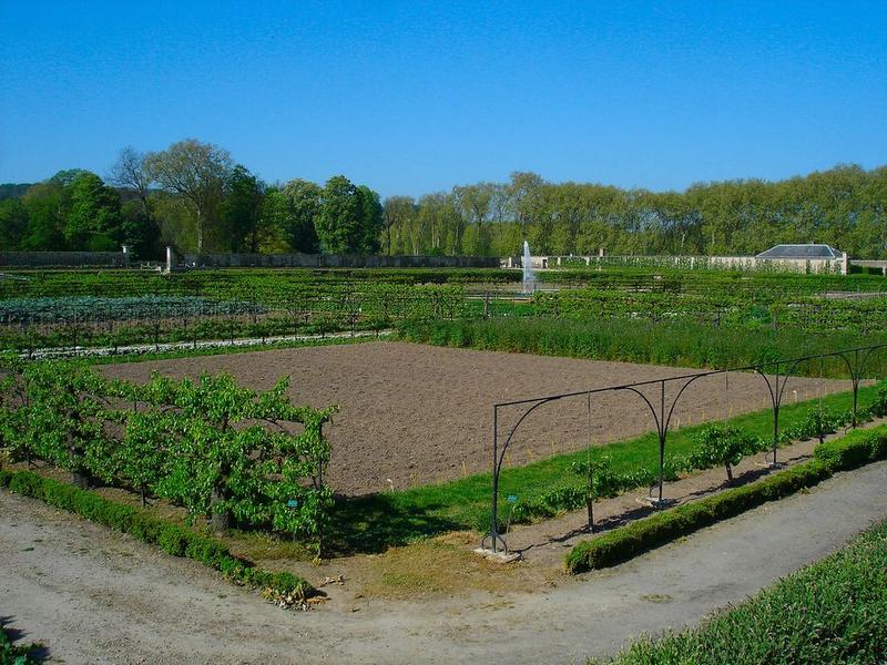 vue générale du potager