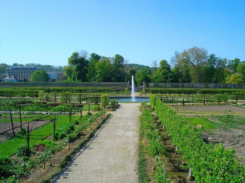 vue générale du potager