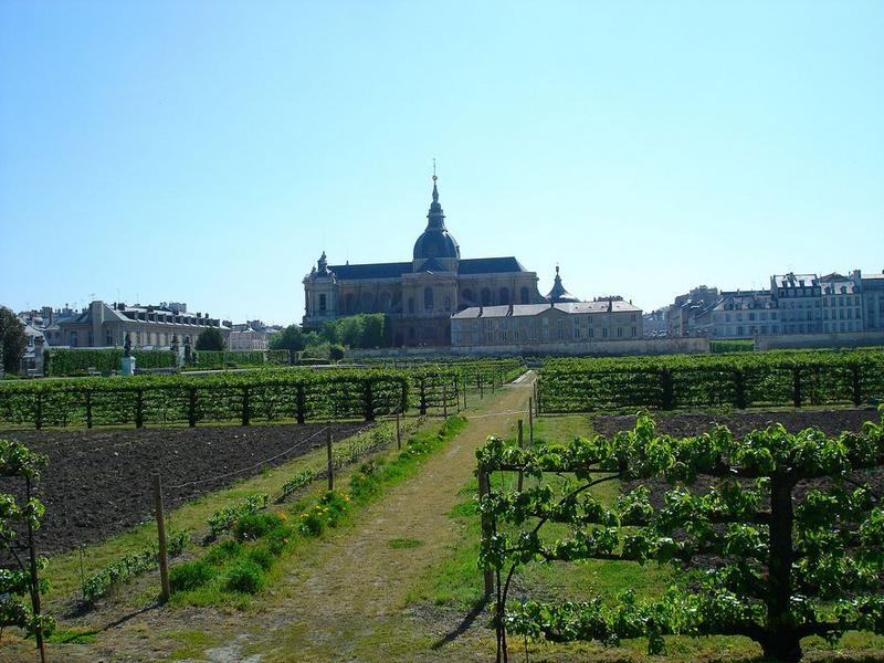 vue générale du potager