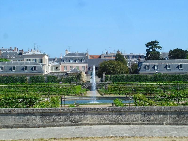 vue générale du potager