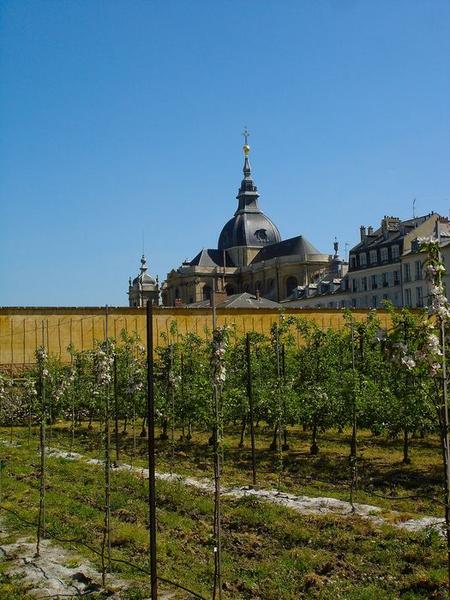 vue partielle du potager