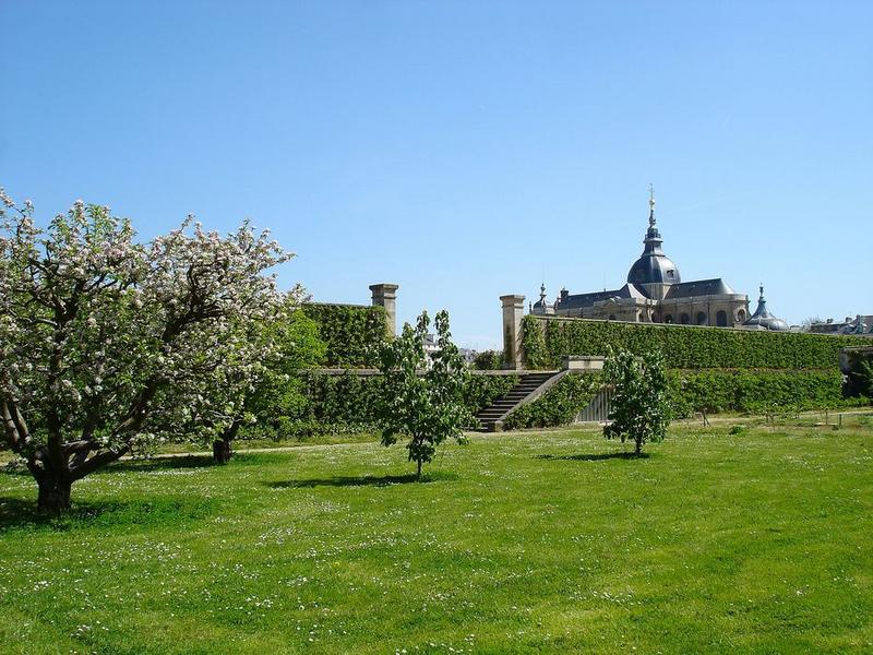 vue partielle du potager