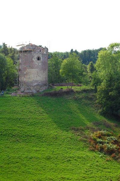 vue générale de la tour dans son environnement