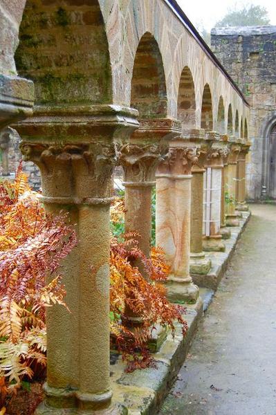 Cloître, galerie sud, vue générale