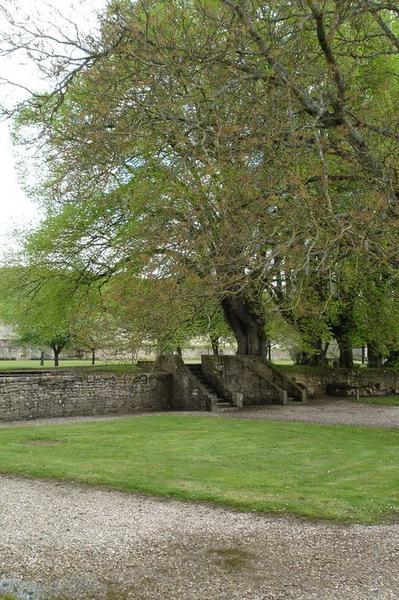 jardins sud, vue partielle