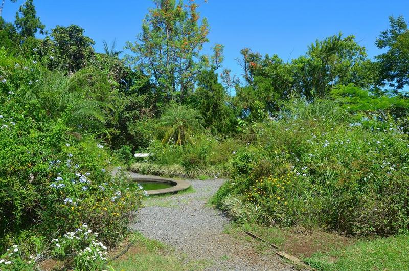 parc, vue partielle