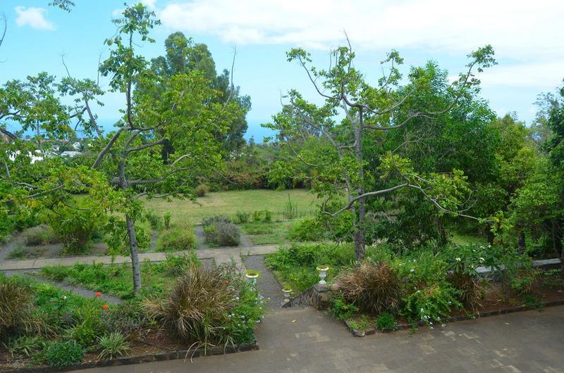 vue partielle du jardin