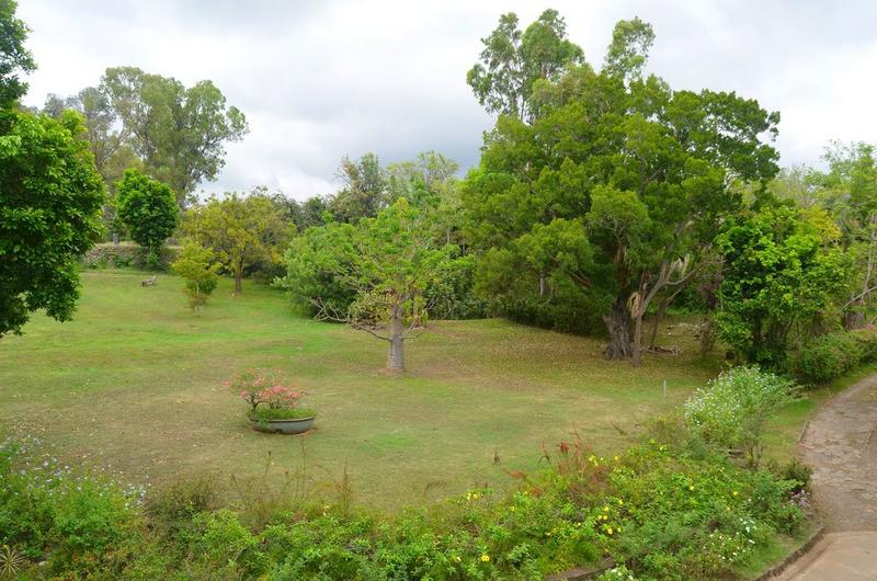 vue partielle du jardin