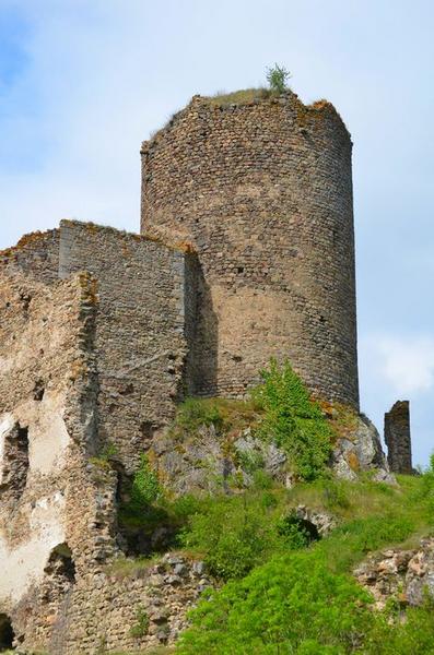 vue générale du donjon