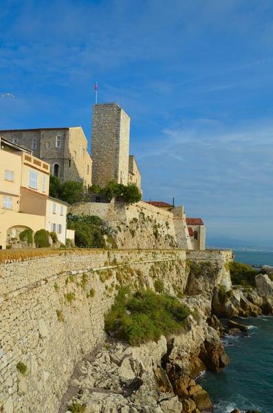 vue générale du château dans son environnement