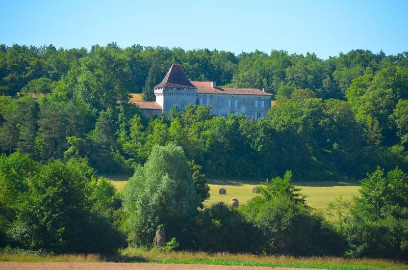 vue générale du château dans son environnement